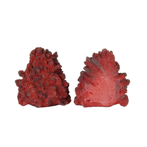 Red Coral Bookends