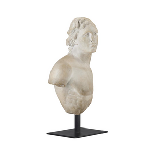 Greek Torso