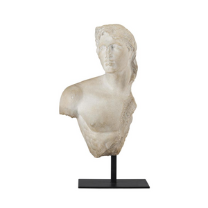 Greek Torso